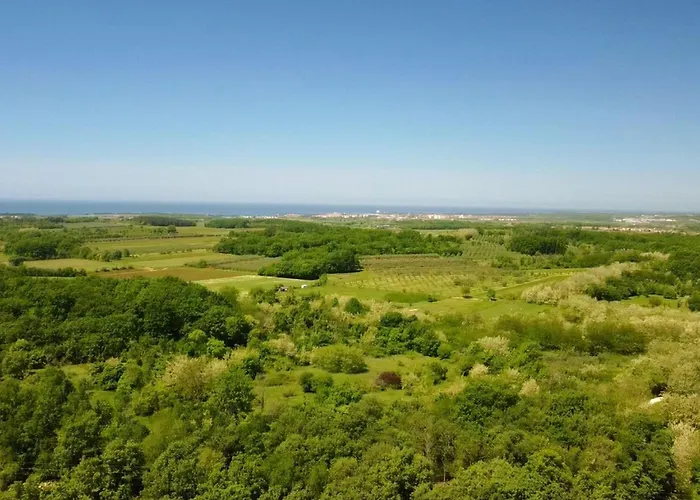 Mares 1 By Interhome Apartment